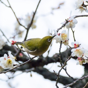 2019年2月スケジュール