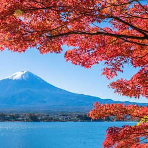 2019年11月スケジュール