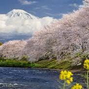 2026年4月スケジュール