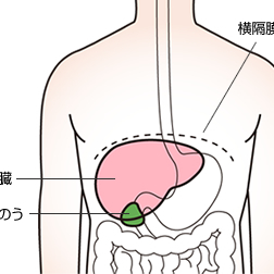 気になる記事　～白髪編～