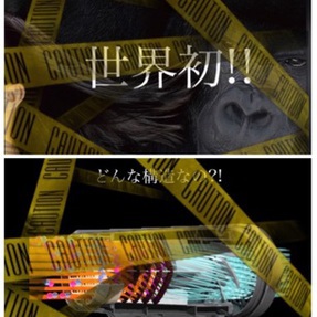 ※【情報解禁】 間近