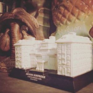 わが家に、モアナサーフライダー？