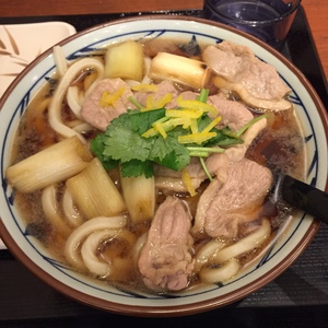 鴨汁うどん