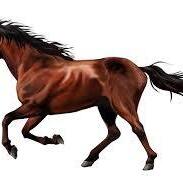 頂 -ITADAKI- 2025.1.15~2025.12.31